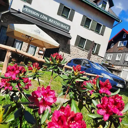 Pensjonat Lipa 3*