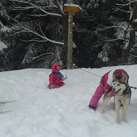 Casa de hóspedes Lípa Horní Maršov