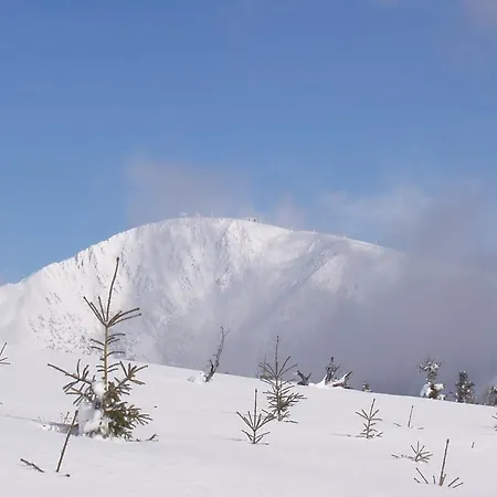 Casa de hóspedes Lípa 3*