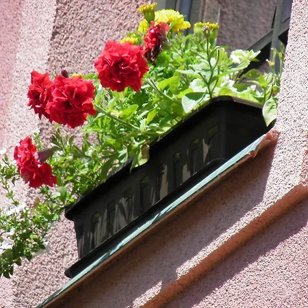 Lípa Horní Maršov