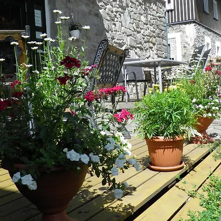 Guest house Lipa Horni Marsov